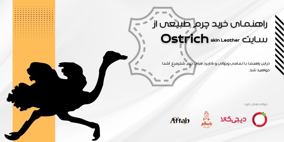 چــــرمــ شتـــرمرغــــ را بیشتــــر بشناسیـــــمـــ….